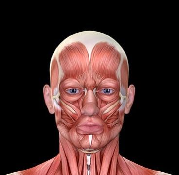 A face without skin