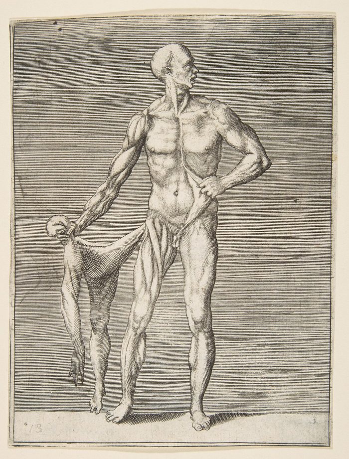 Old engraving of a skinless man holding up his own skin